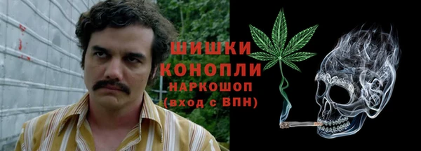 прущие крисы Балахна