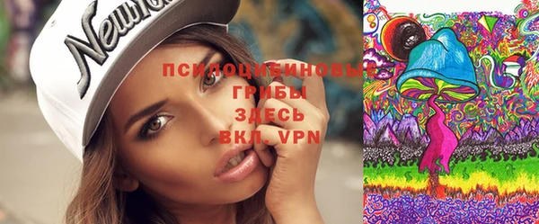 прущие крисы Балахна