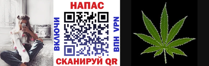 МАРИХУАНА план Покровск